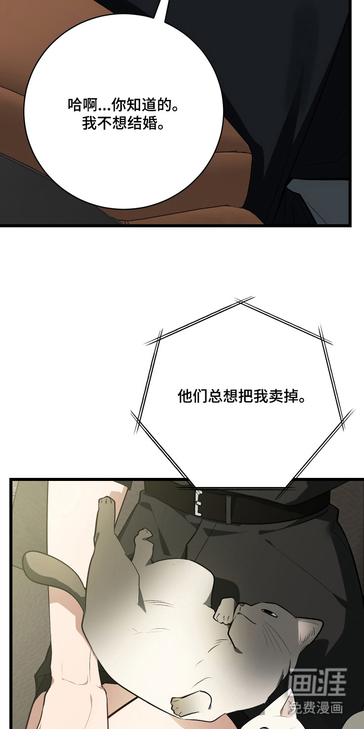 野猫的命定人类 第16话 第3页