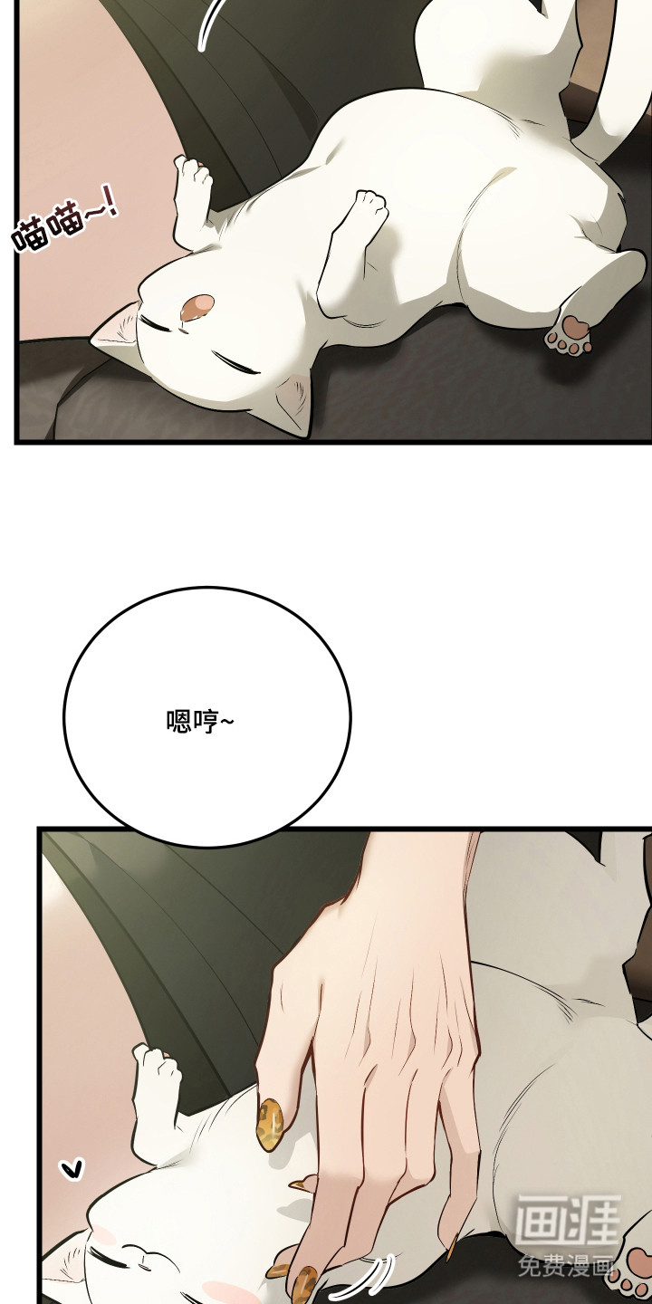 野猫的命定人类 第16话 第5页