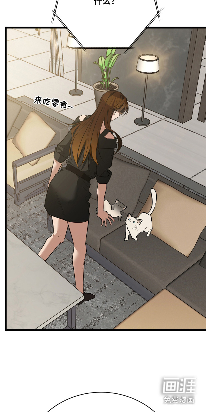 野猫的命定人类 第16话 第8页