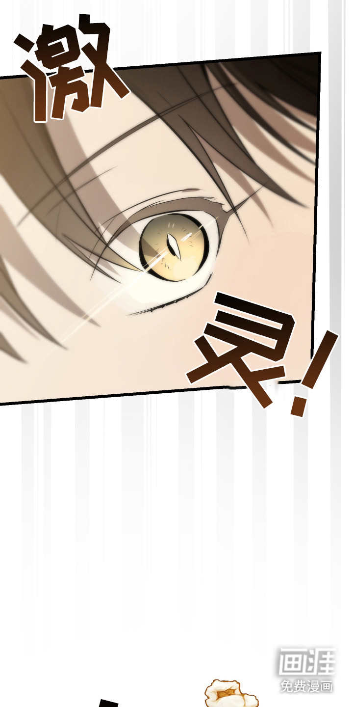 野猫的命定人类 第18话 第10页