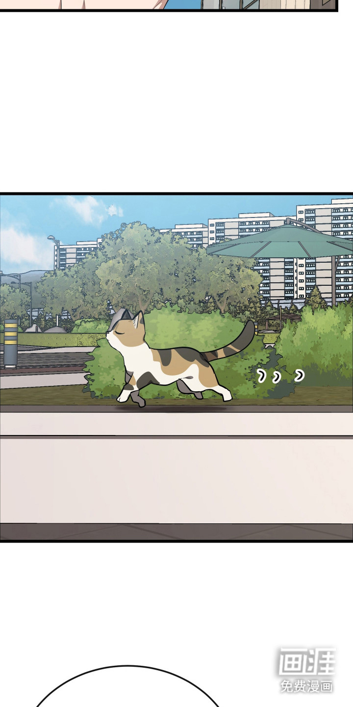 野猫的命定人类 第19话 第3页