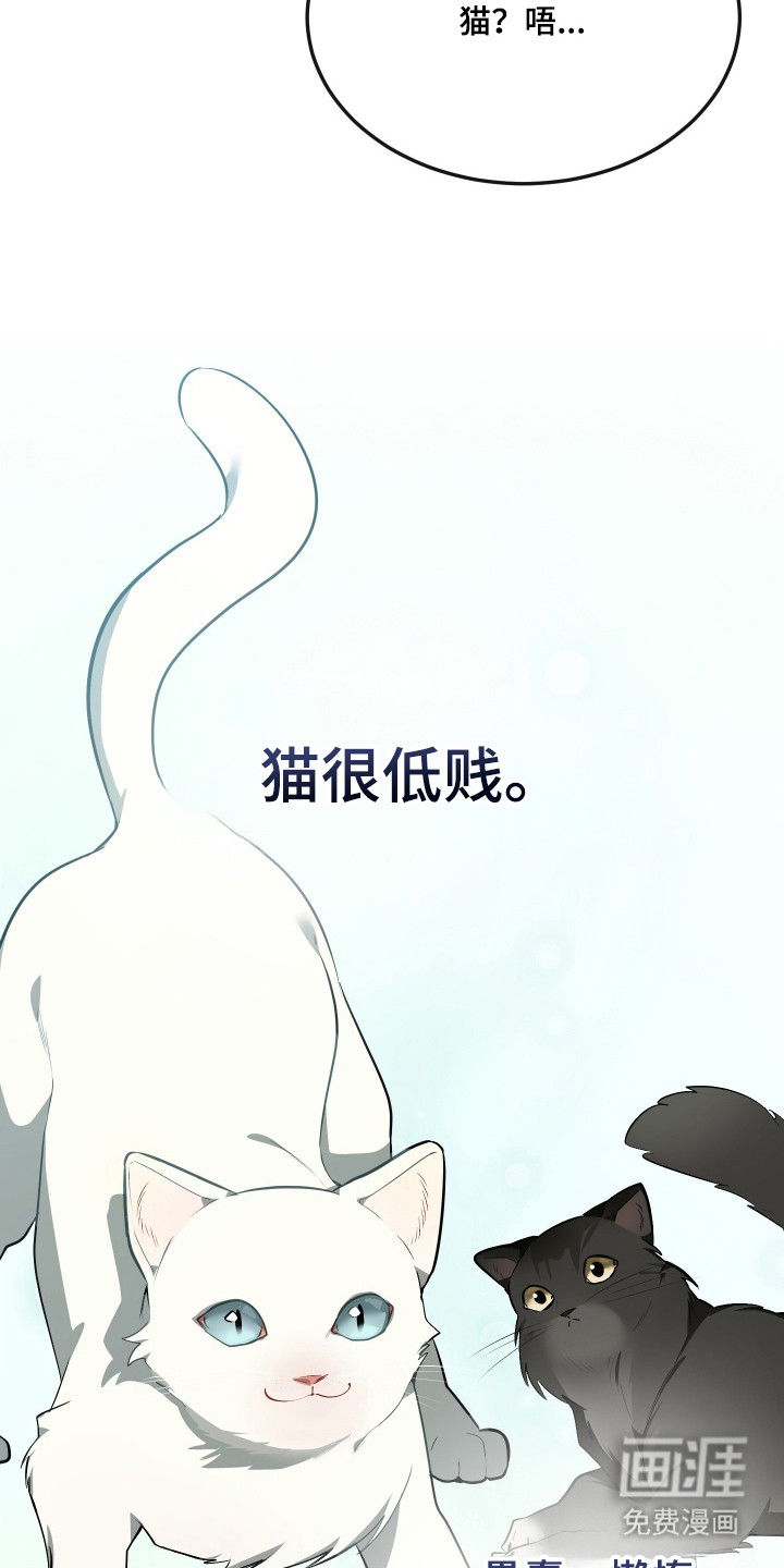 野猫的命定人类 第19话 第5页