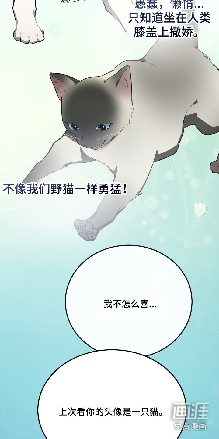 野猫的命定人类 第19话 第6页