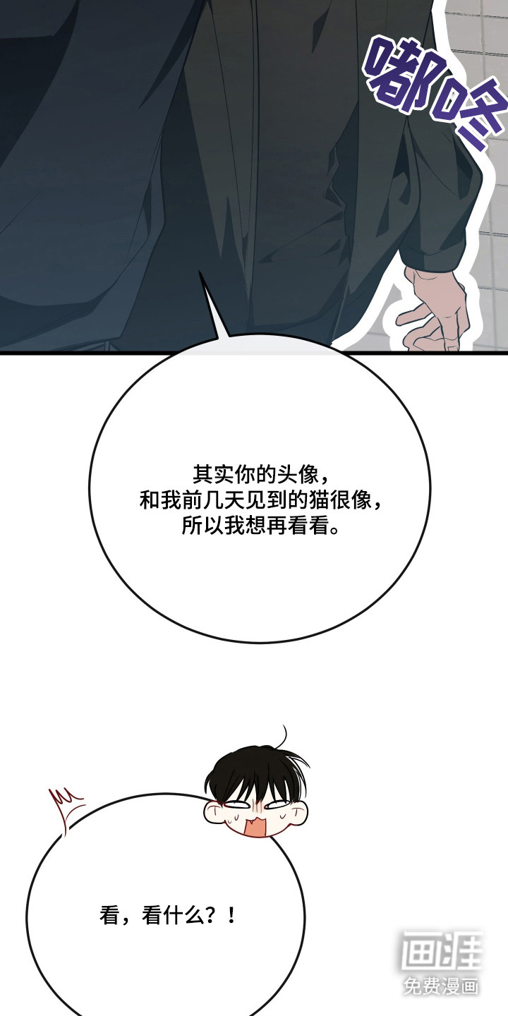 野猫的命定人类 第19话 第9页