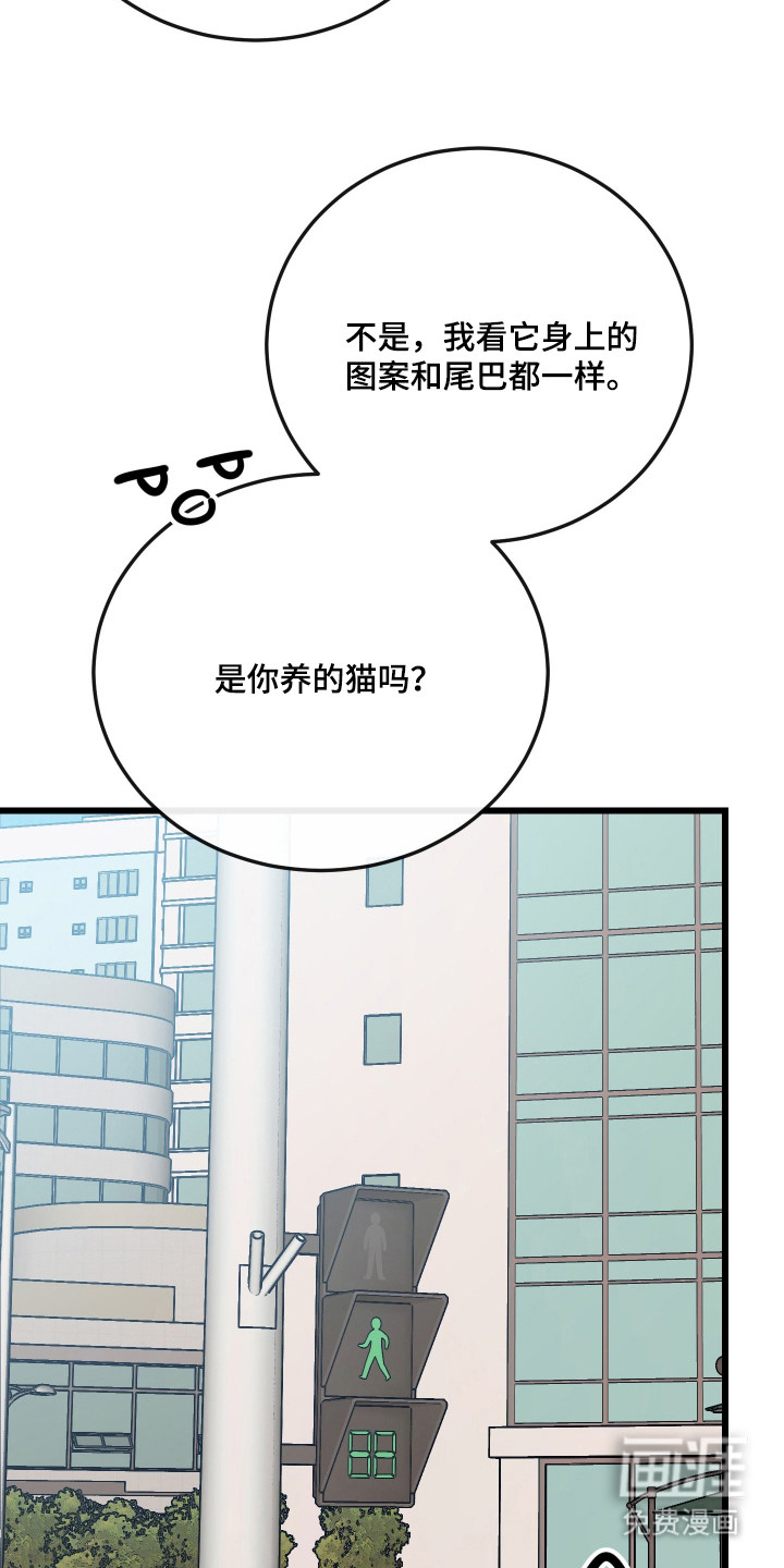 野猫的命定人类 第19话 第10页