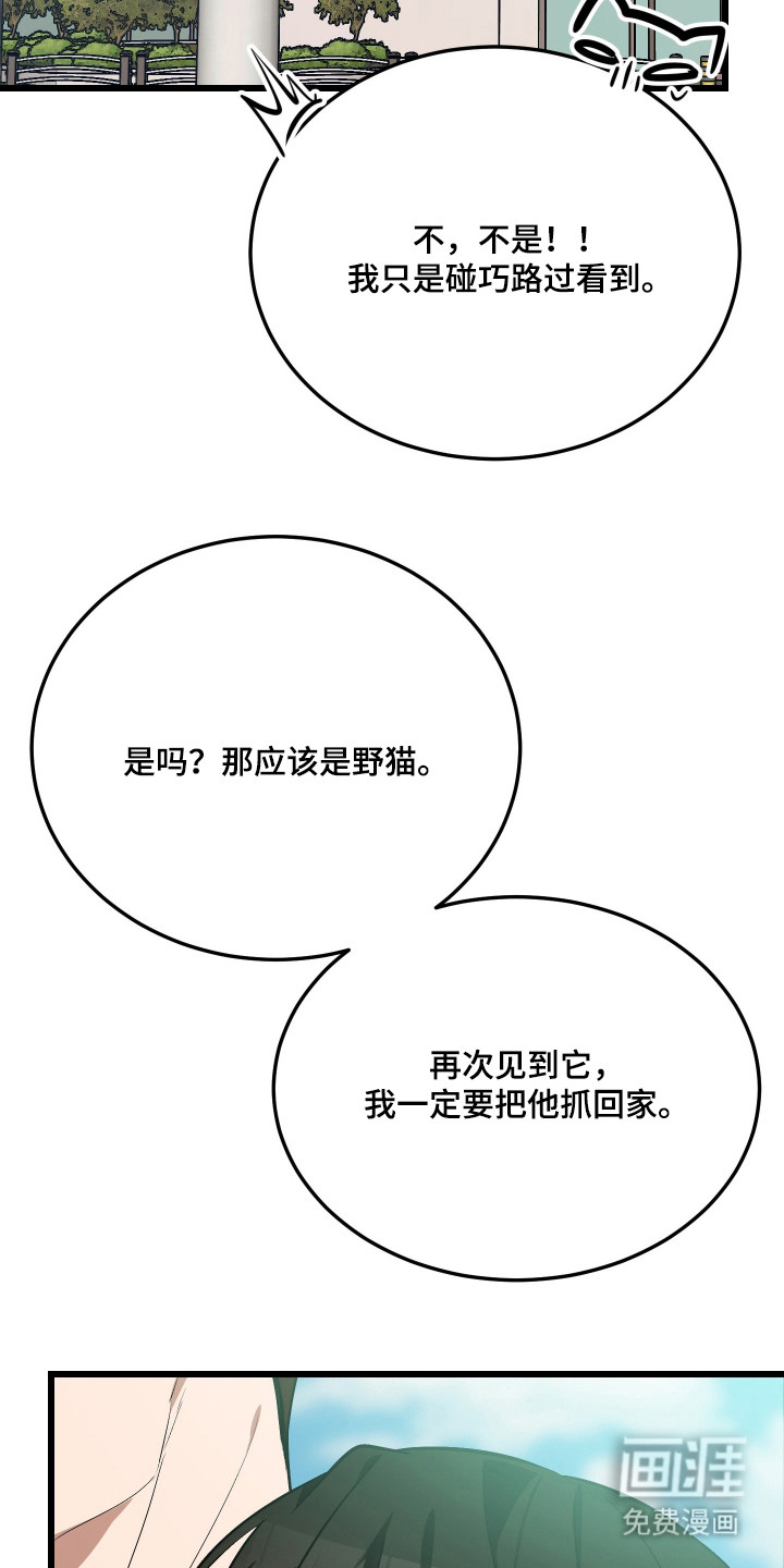 野猫的命定人类 第19话 第11页