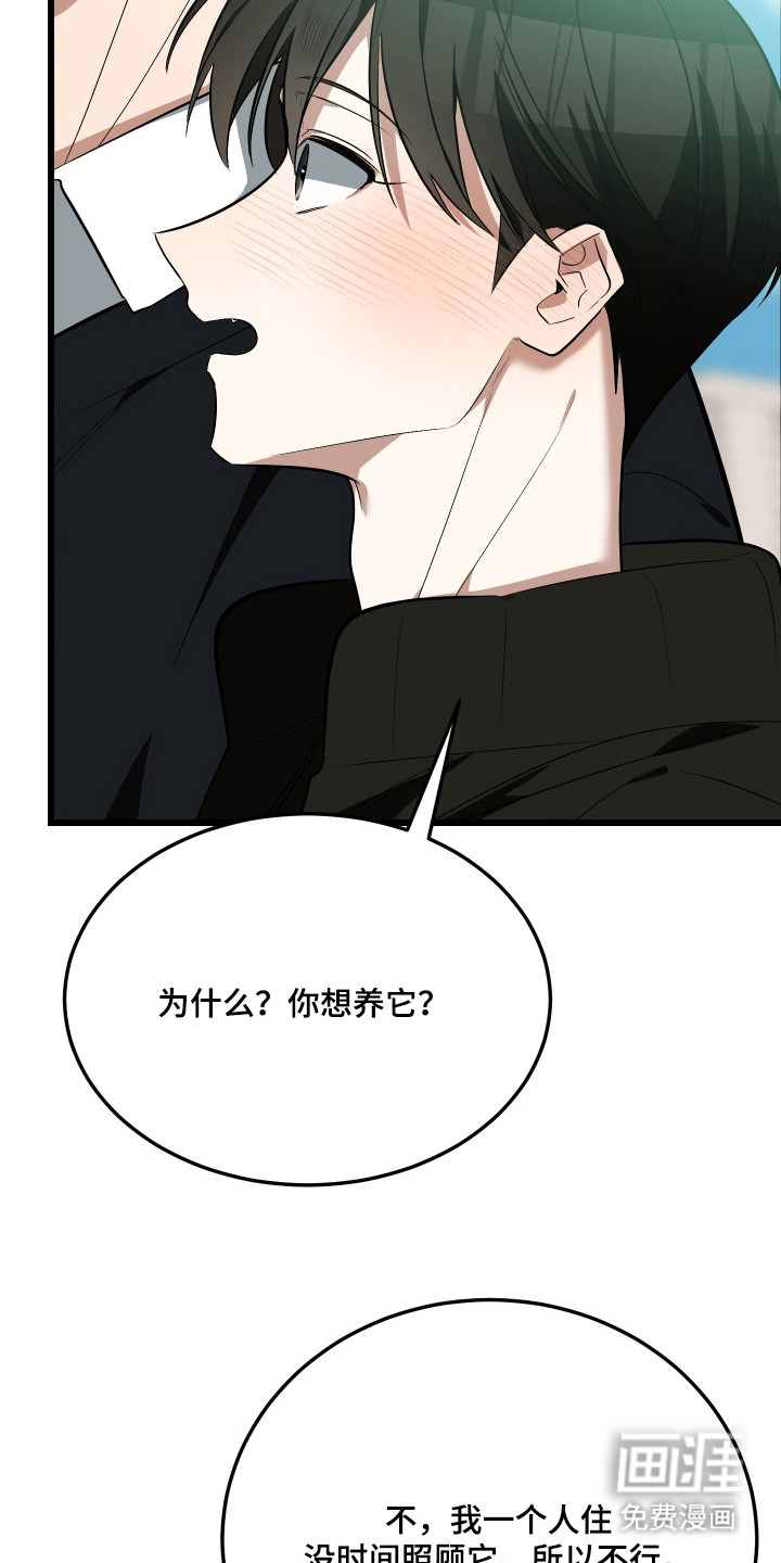 野猫的命定人类 第19话 第12页