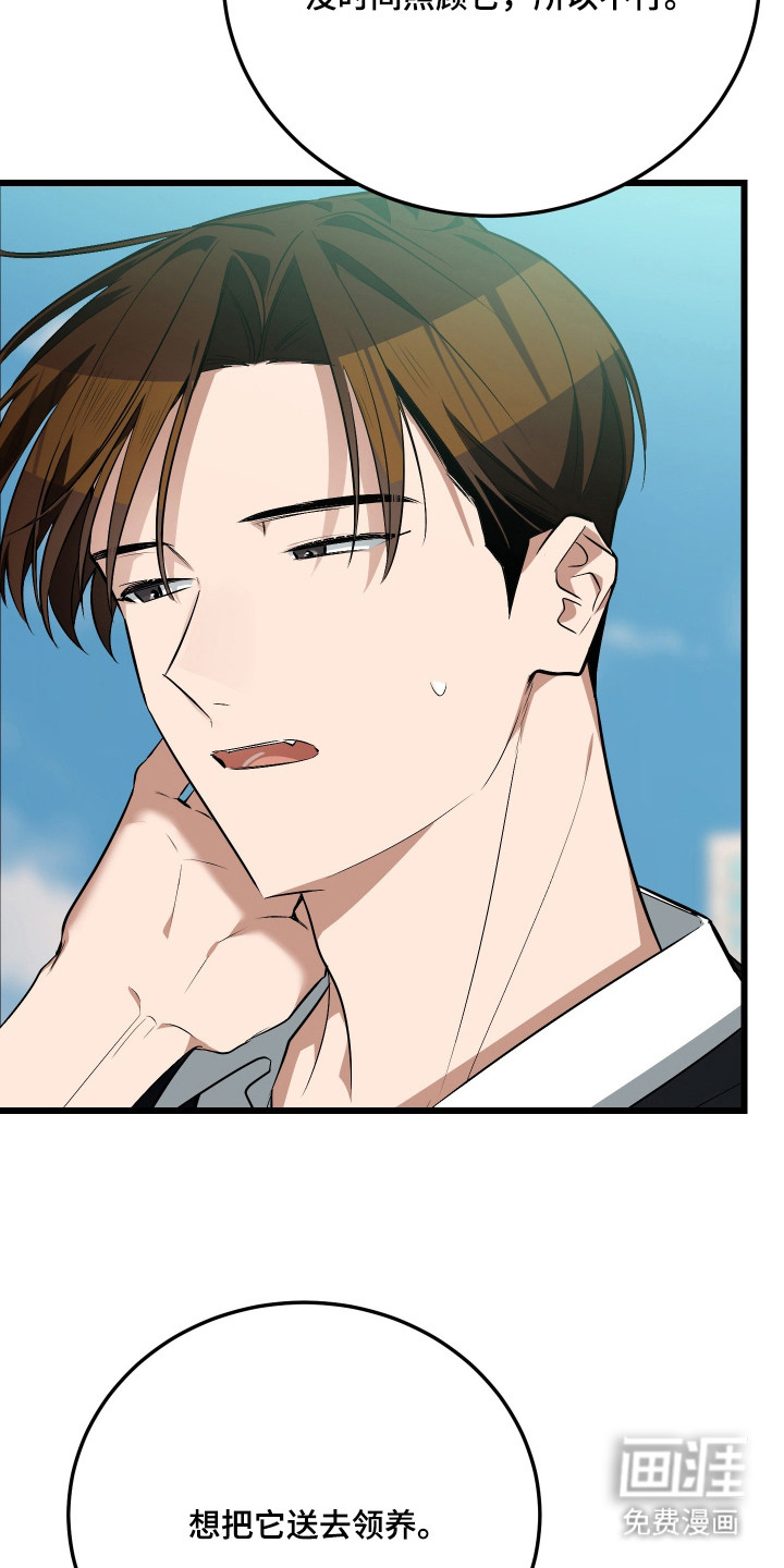 野猫的命定人类 第19话 第13页