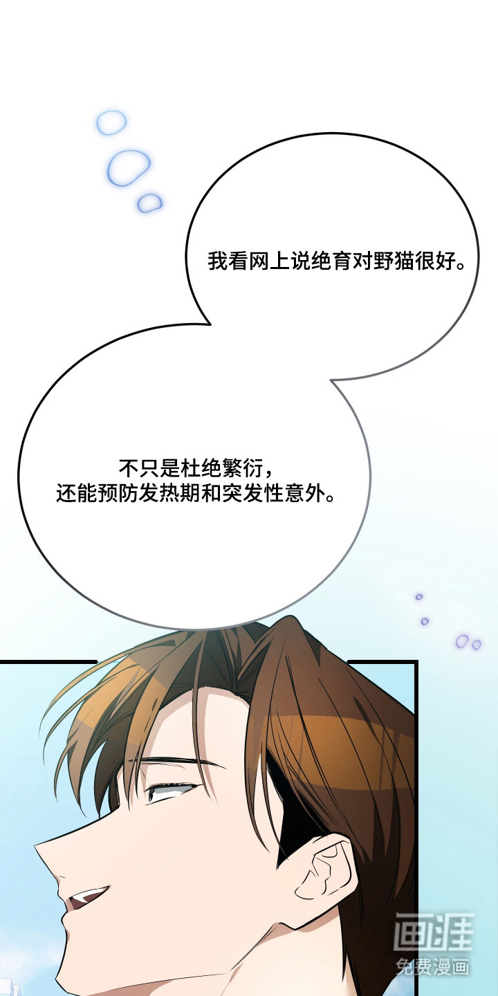 野猫的命定人类 第19话 第17页