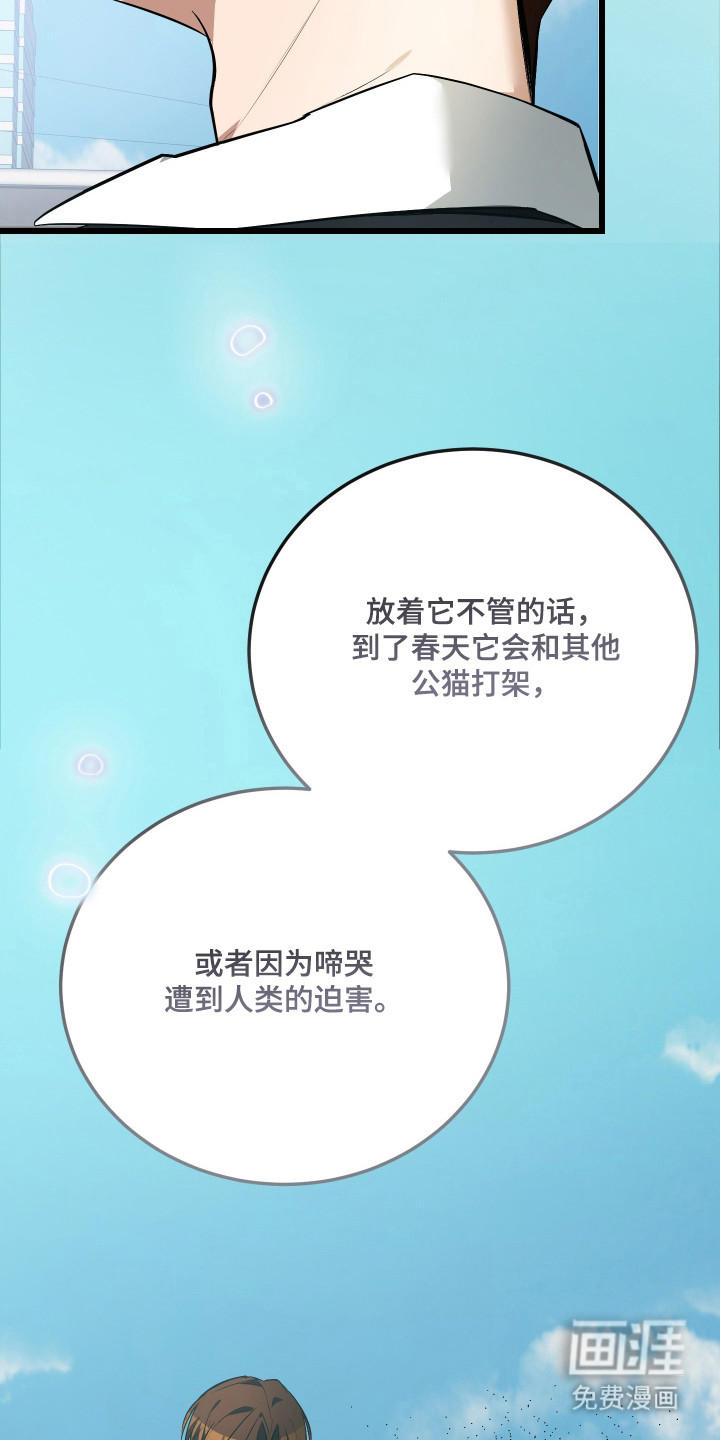 野猫的命定人类 第19话 第18页