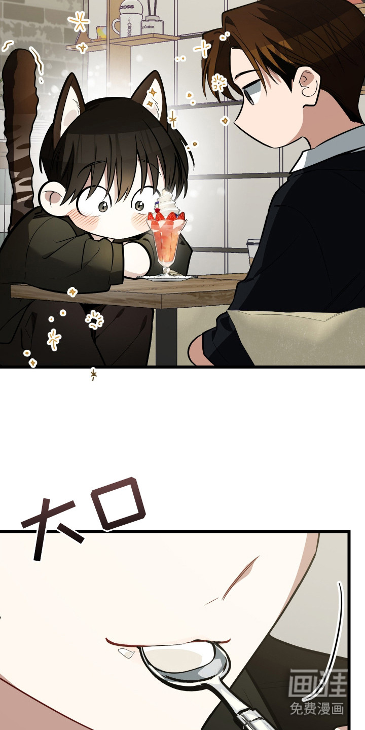 野猫的命定人类 第19话 第24页
