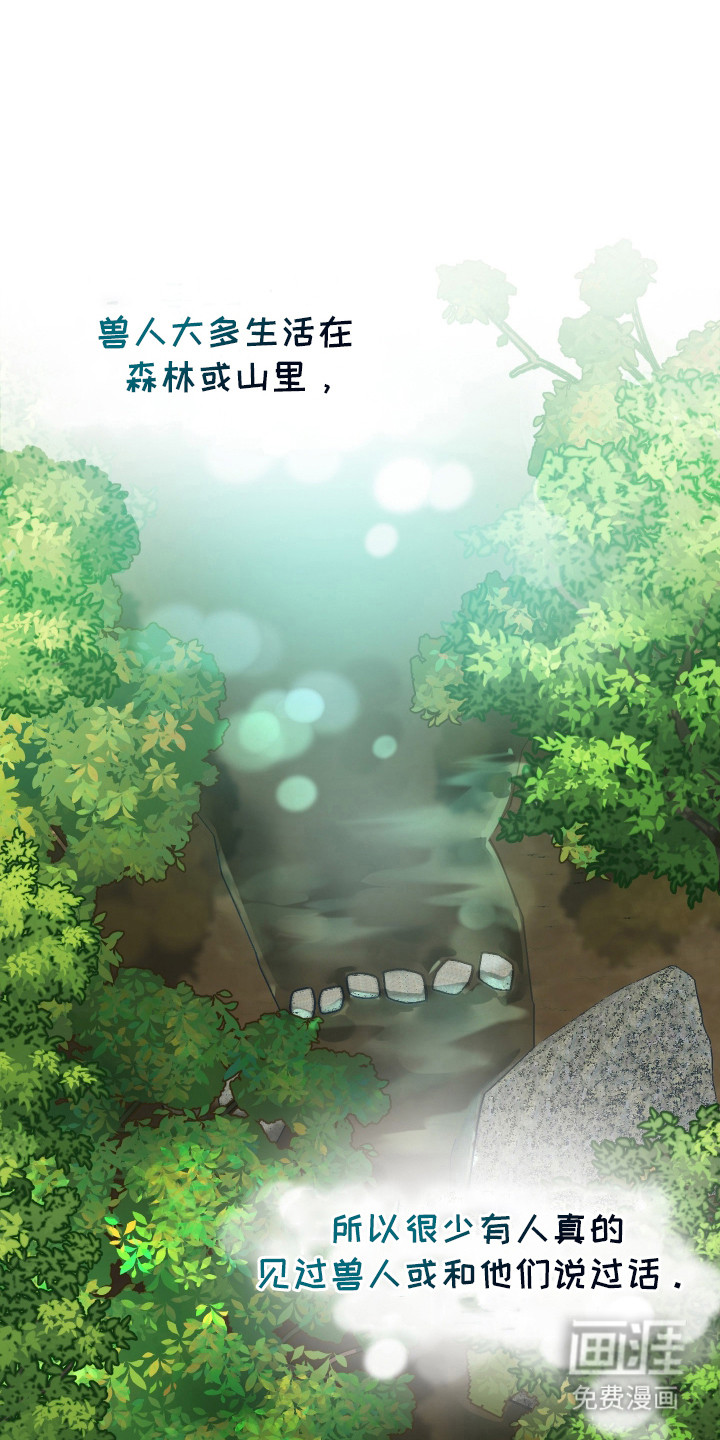 野猫的命定人类第2话图