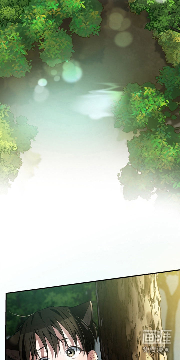 野猫的命定人类第2话图