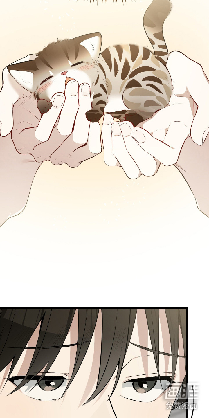 野猫的命定人类 第20话 第20页
