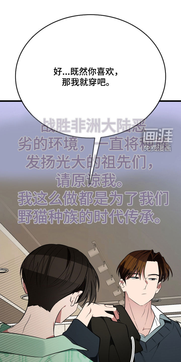 野猫的命定人类第23话图