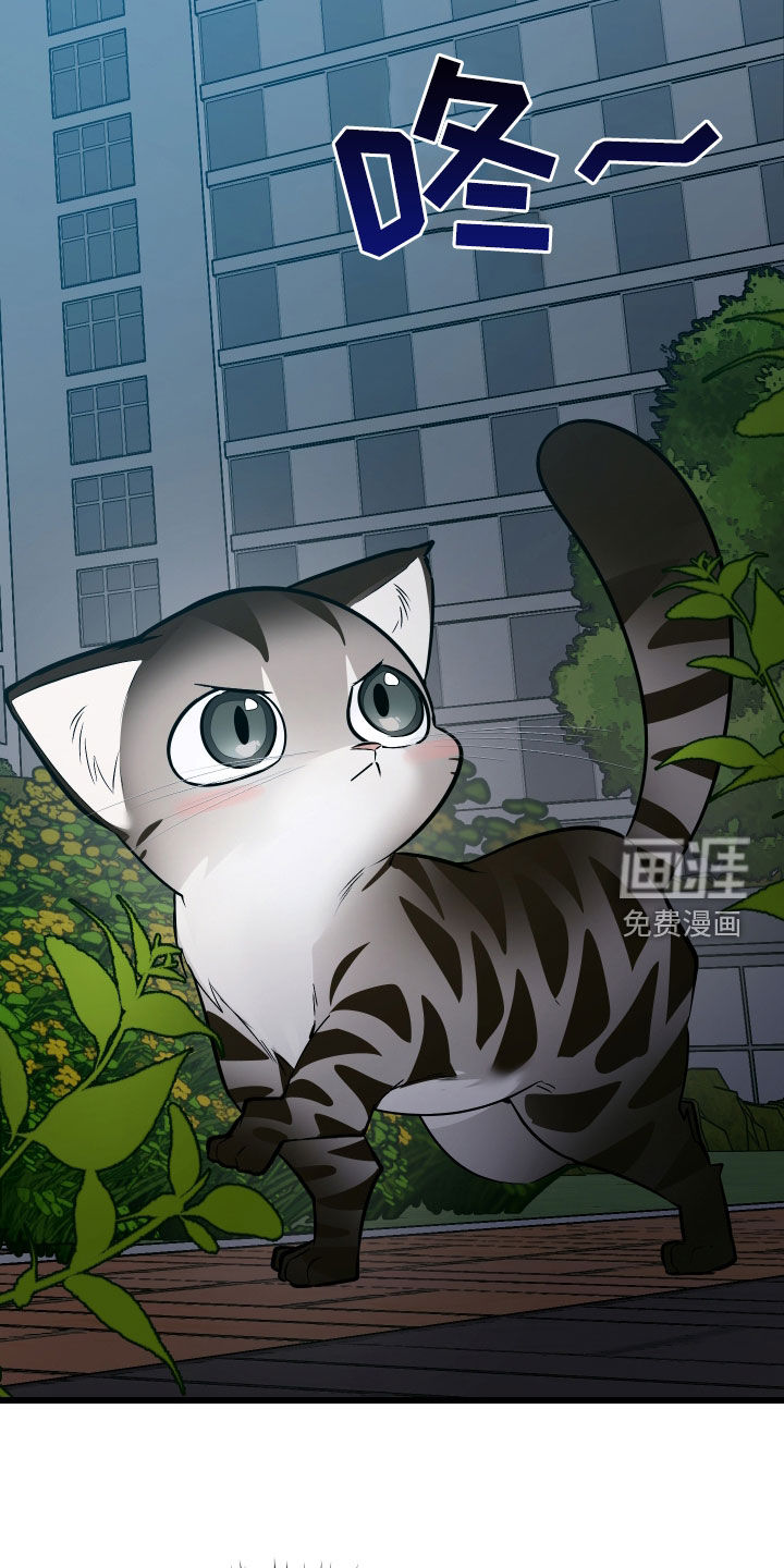 野猫的命定人类 第25话 第21页