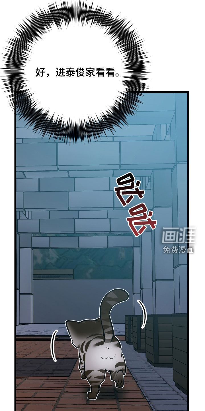 野猫的命定人类 第25话 第22页