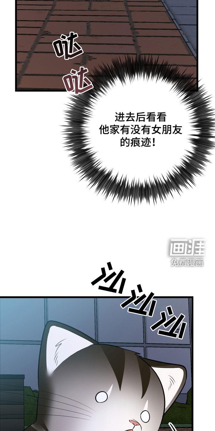 野猫的命定人类 第25话 第23页