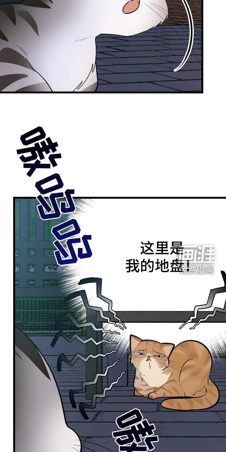 野猫的命定人类 第25话 第24页