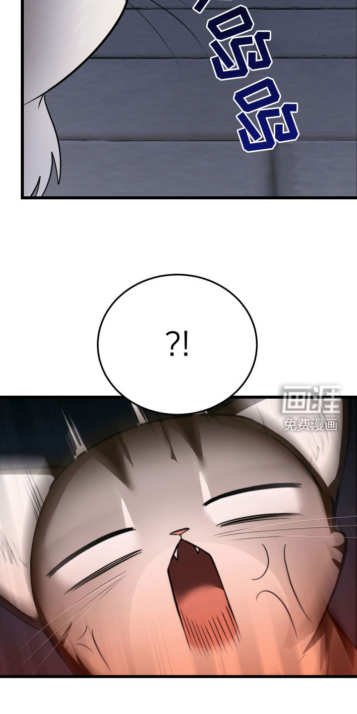 野猫的命定人类 第25话 第25页