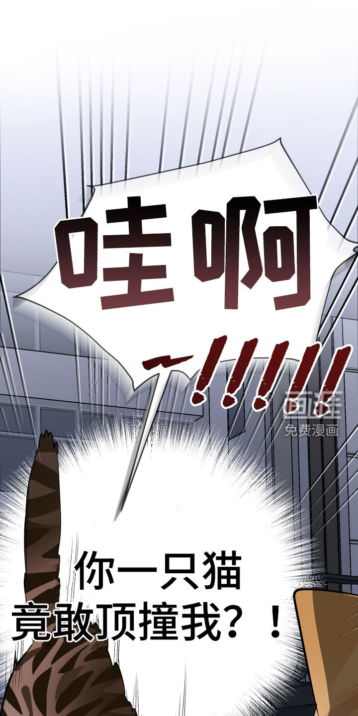 野猫的命定人类 第25话 第26页