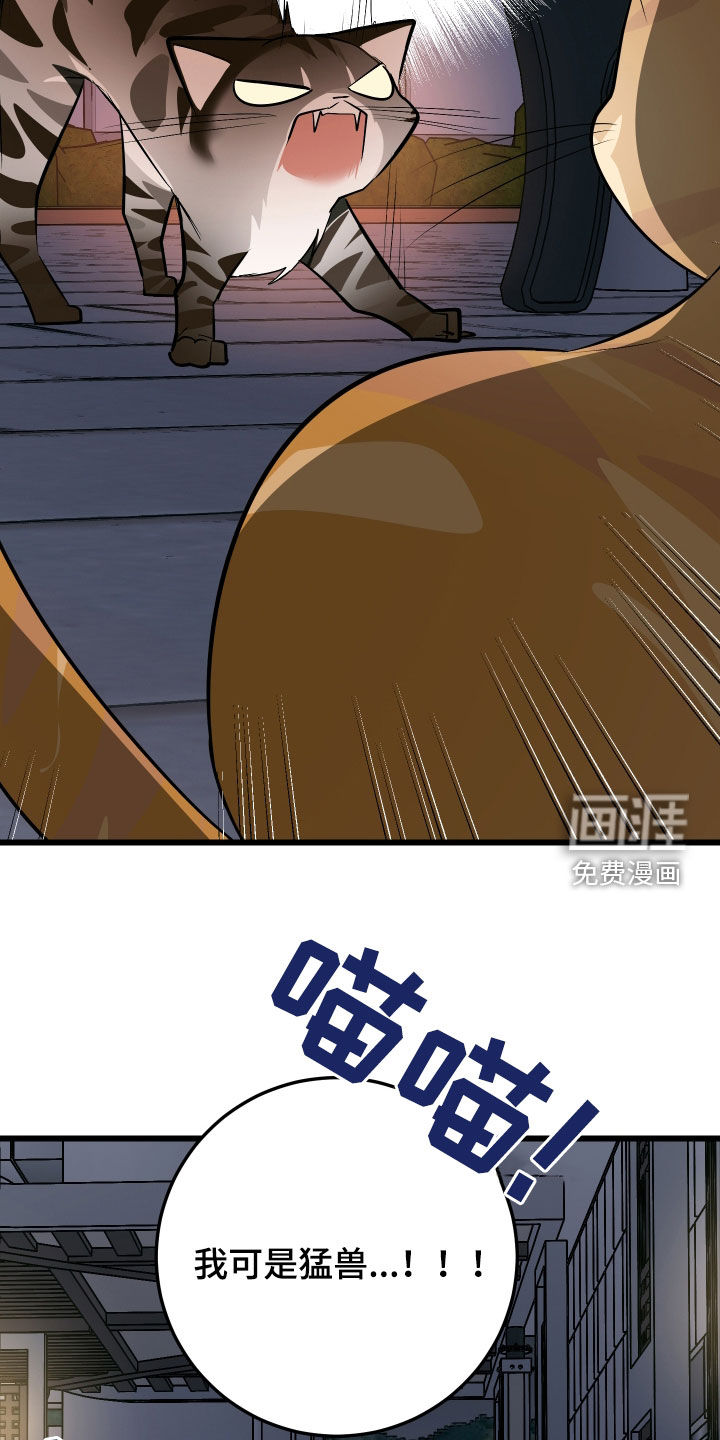 野猫的命定人类 第25话 第27页