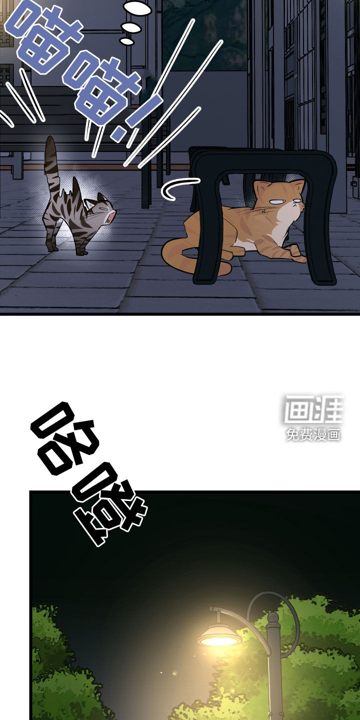 野猫的命定人类 第25话 第28页