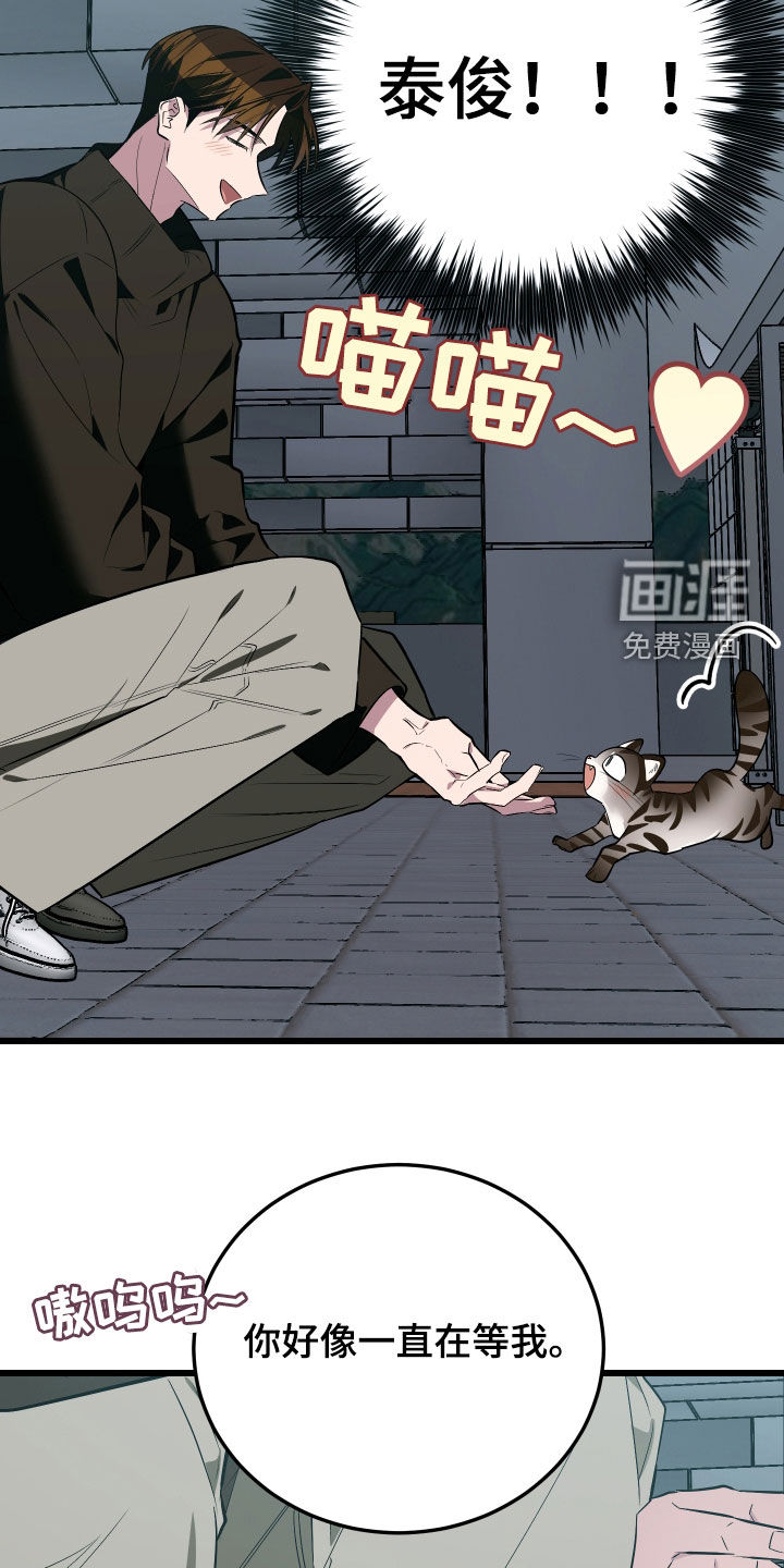 野猫的命定人类 第25话 第32页