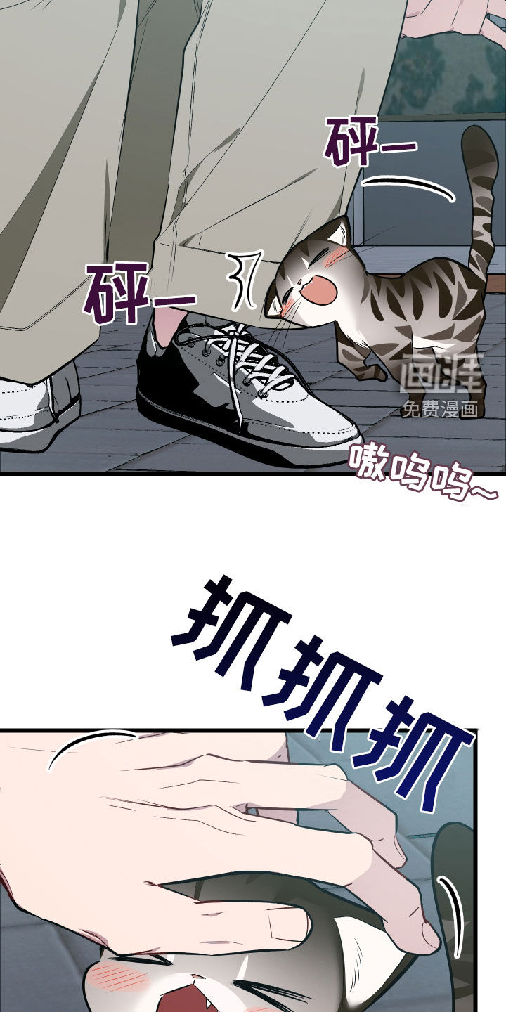 野猫的命定人类 第25话 第33页