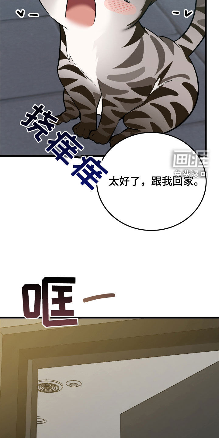 野猫的命定人类 第25话 第34页