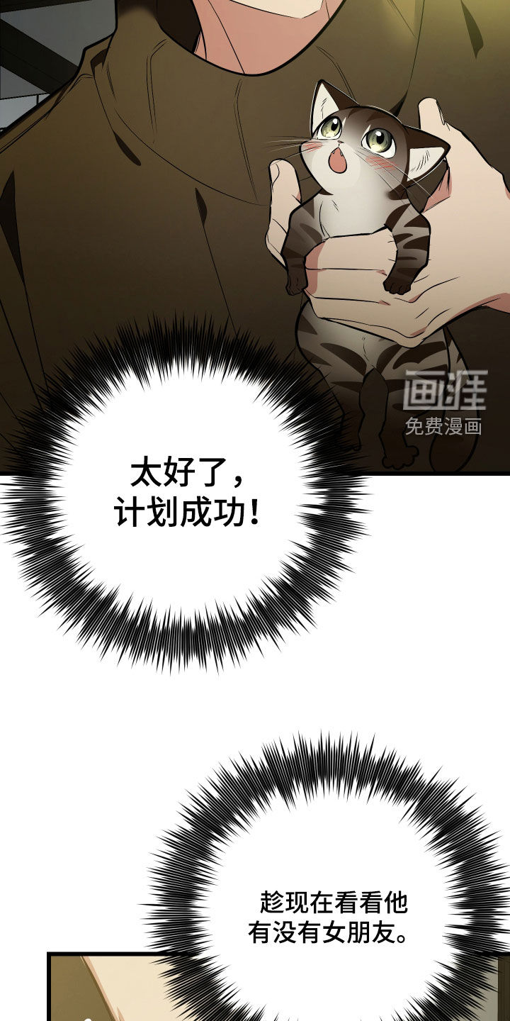 野猫的命定人类 第25话 第36页