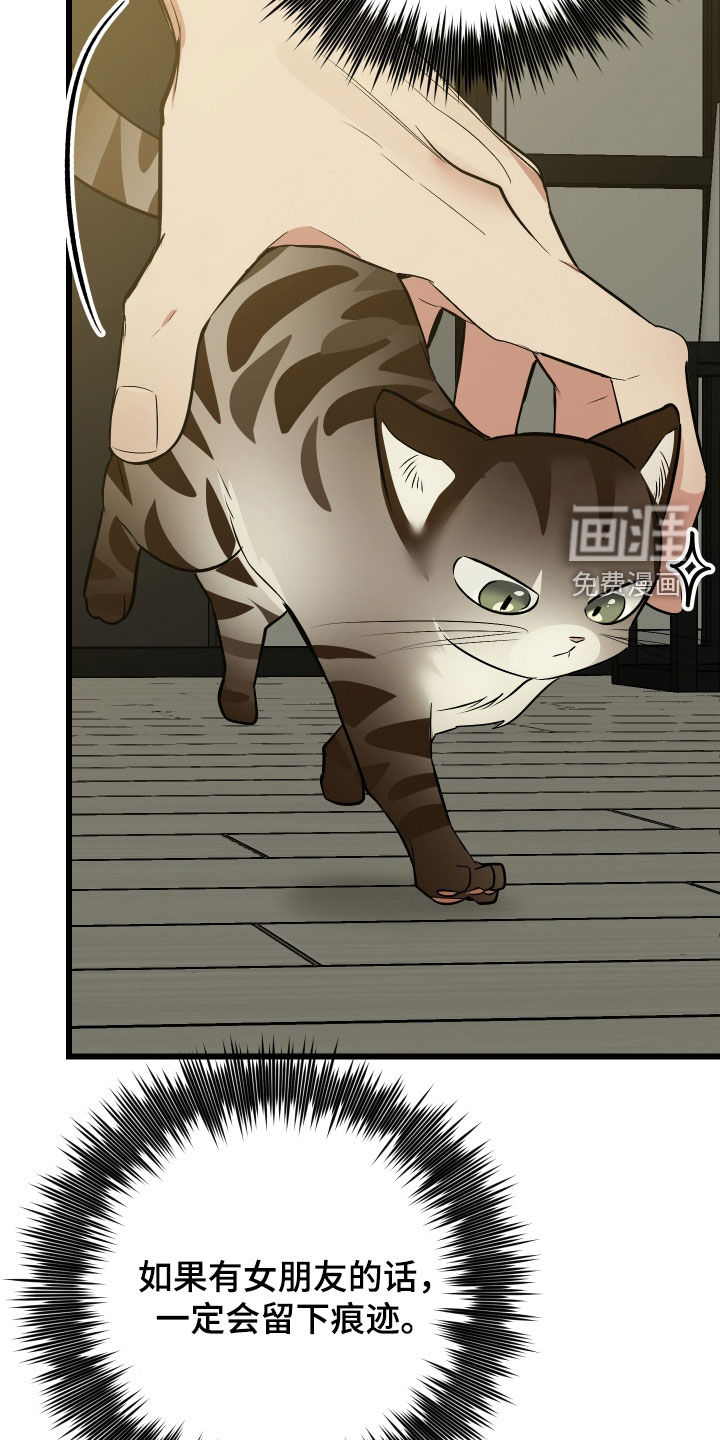 野猫的命定人类 第25话 第37页