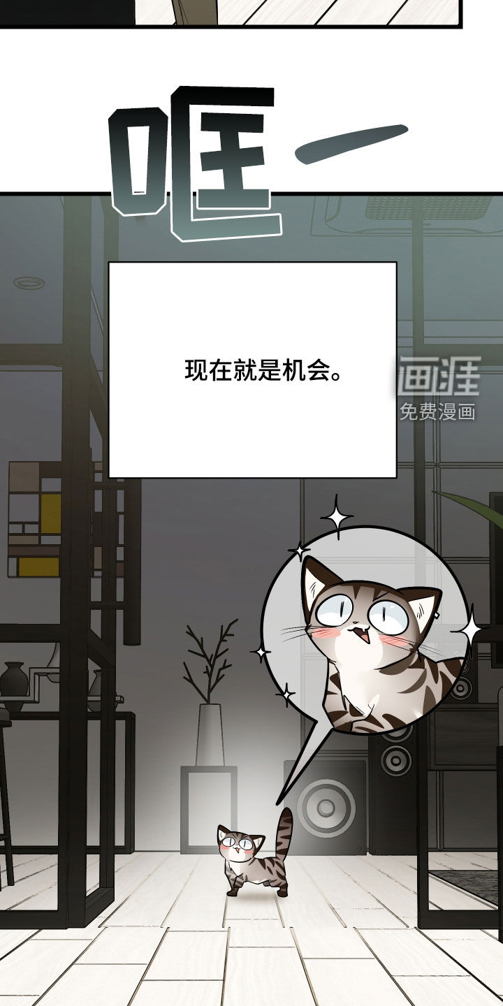 野猫的命定人类 第25话 第39页