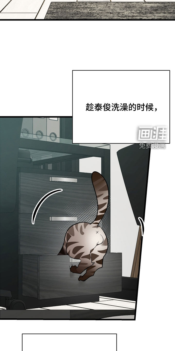 野猫的命定人类 第25话 第40页