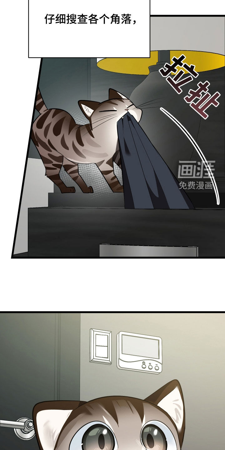 野猫的命定人类 第25话 第41页