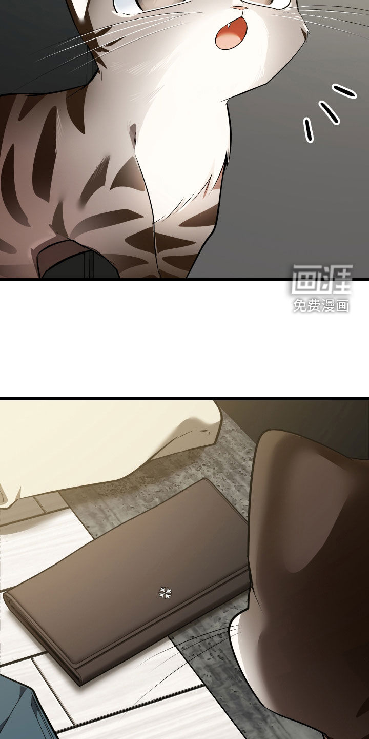 野猫的命定人类 第25话 第42页