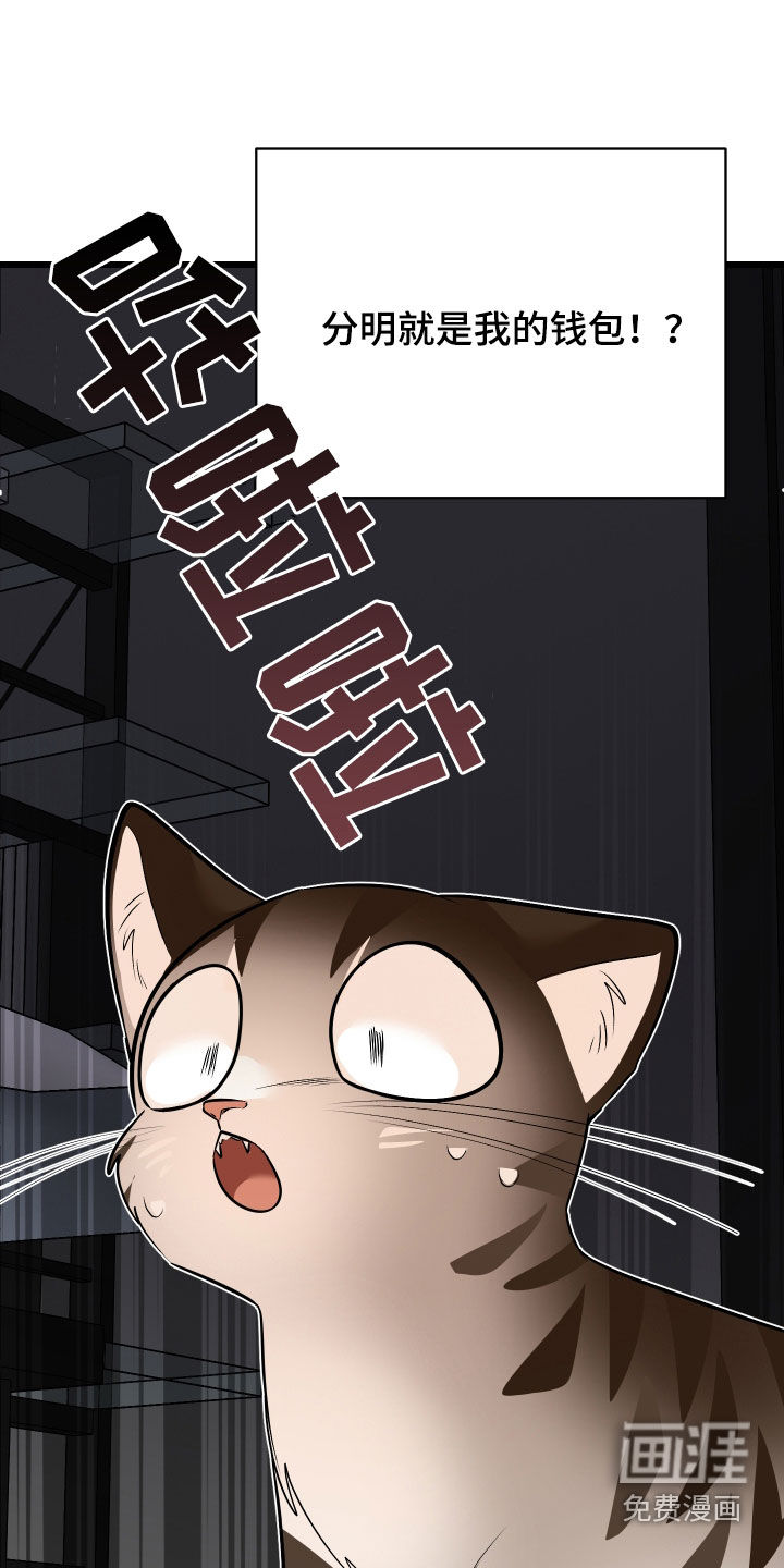 野猫的命定人类第26话图