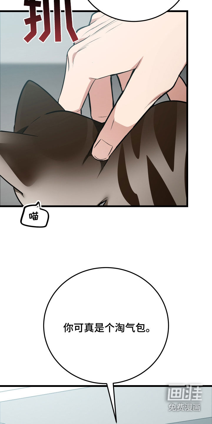 野猫的命定人类 第26话 第2页