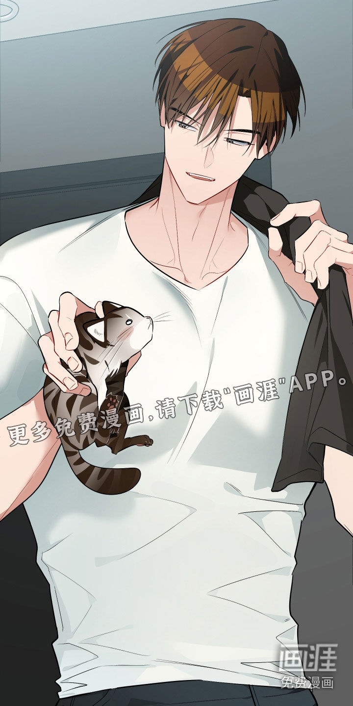 野猫的命定人类 第26话 第3页