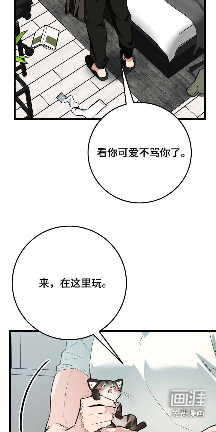 野猫的命定人类 第26话 第5页