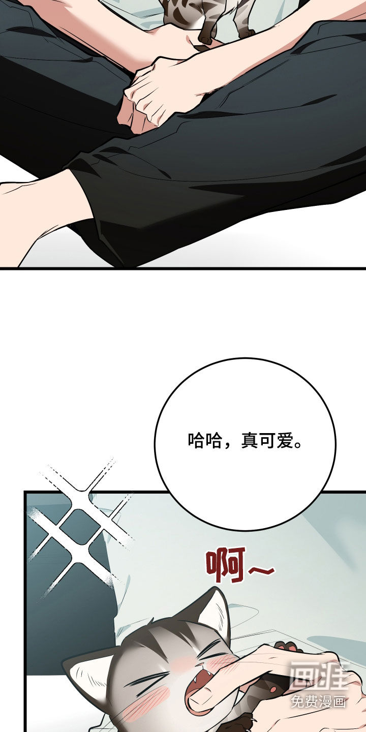 野猫的命定人类 第26话 第7页