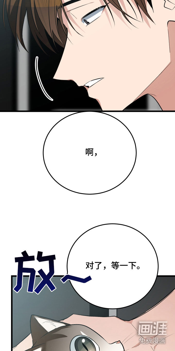 野猫的命定人类 第26话 第9页