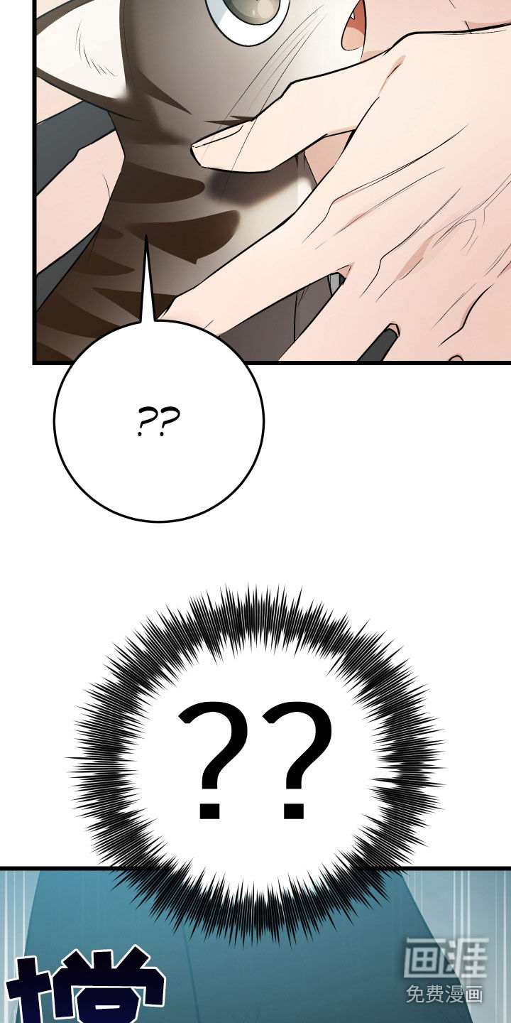 野猫的命定人类 第26话 第10页