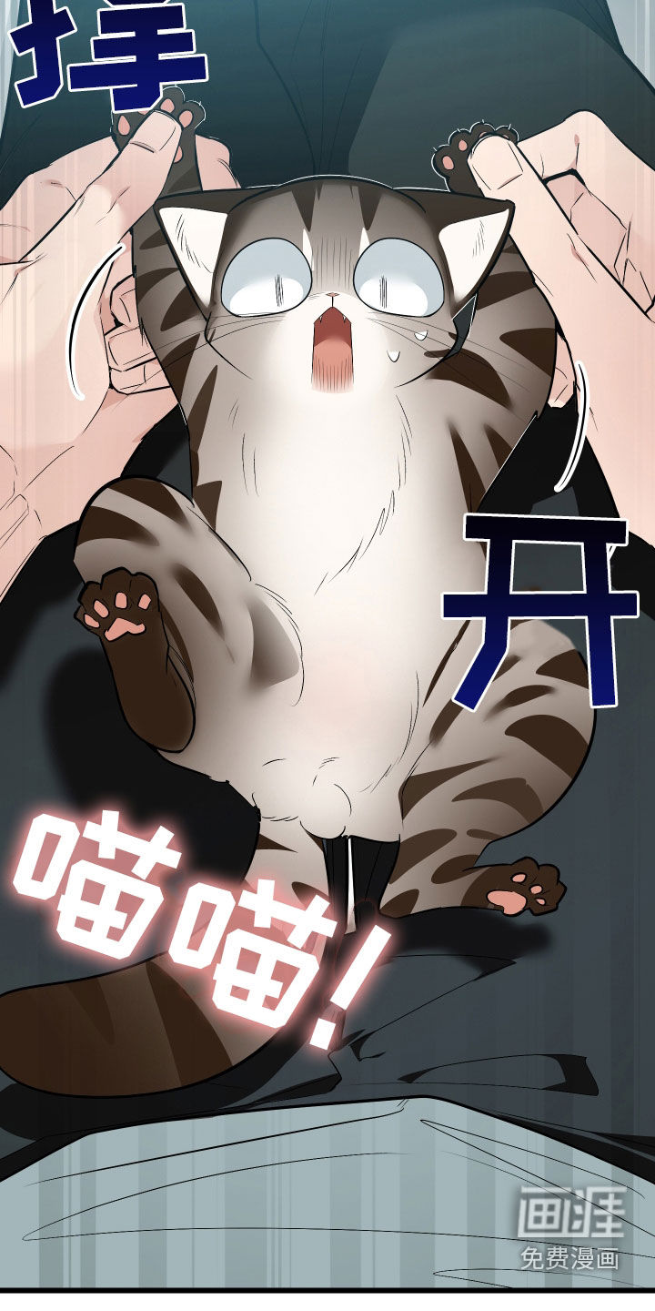 野猫的命定人类 第26话 第11页