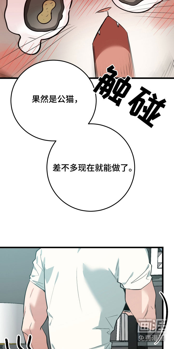 野猫的命定人类 第26话 第14页