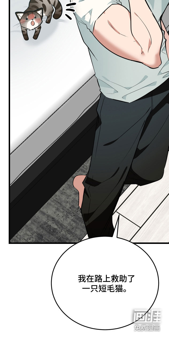 野猫的命定人类 第26话 第16页