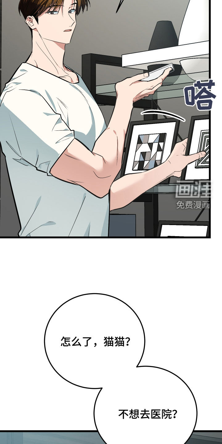 野猫的命定人类 第26话 第20页