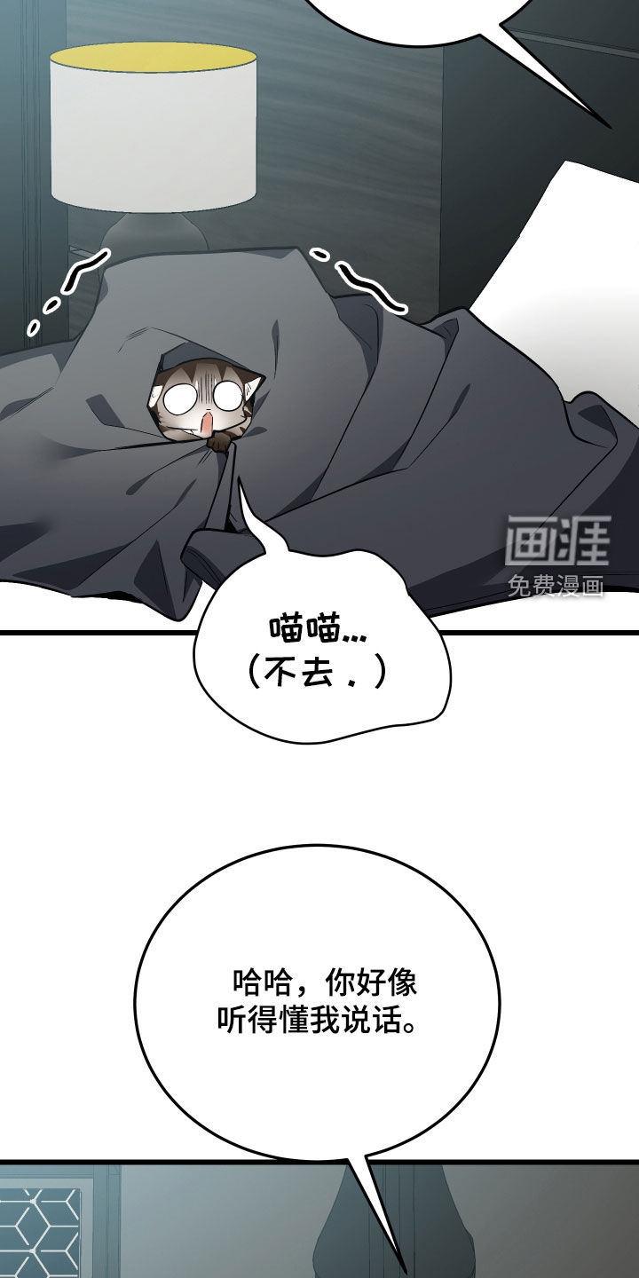 野猫的命定人类 第26话 第21页