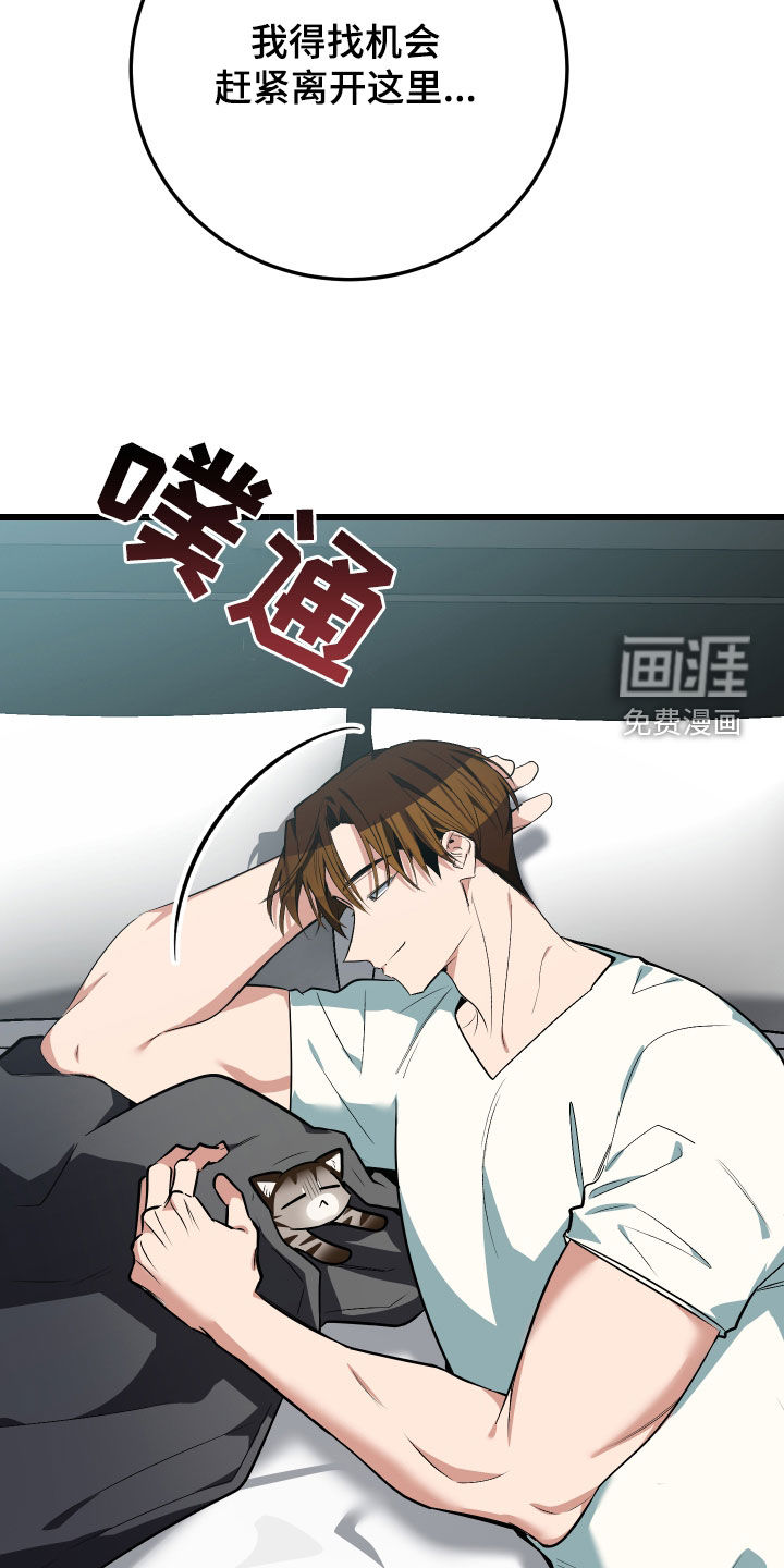 野猫的命定人类 第26话 第23页