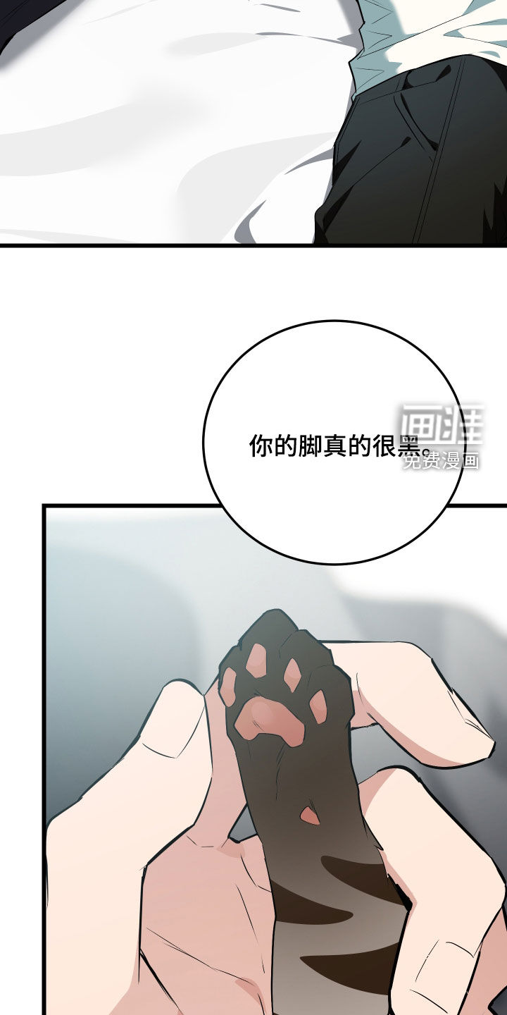 野猫的命定人类 第26话 第24页